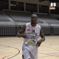 LeuvenBears celebration celebrate young bears GIF