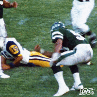 Celebrate National Football League GIF by NFL