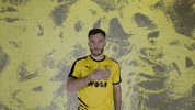 Black And Yellow Wolf GIF by New Mexico United