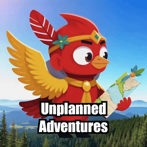 Explore Road Trip GIF by The Cardinal Virtue
