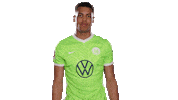 Football No Sticker by VfL Wolfsburg