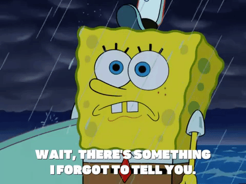 season 6 GIF by SpongeBob SquarePants
