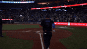 Home Run Baseball GIF by Toronto Blue Jays