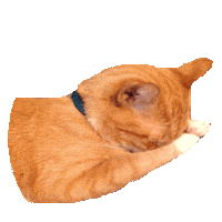 fml STICKER by imoji