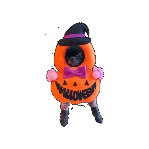 Dog Halloween Sticker