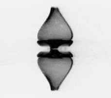 video art GIF by J. Robinson