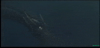 Manda GIF