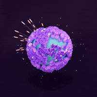 loop flower GIF by Agatha Yu