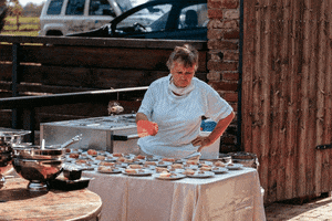 sejmsfoto food angry tired insect GIF
