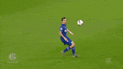 Football Soccer GIF by FC Schalke 04