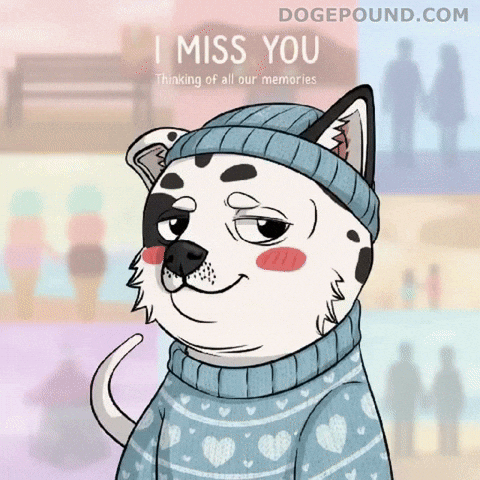 Miss You Love GIF by Doge Pound