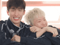 Dk 세븐틴 GIF