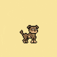Happy Lets Go GIF by Doginal Dogs
