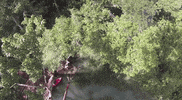 GIF by Mashable