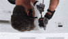Mission Impossible GIF