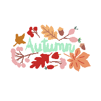 Fall Autumn Sticker by feierSun
