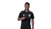 football mexico Sticker by MiSelecciónMX