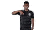 football mexico Sticker by MiSelecciónMX