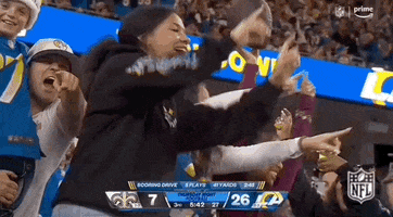 National Football League GIF by NFL