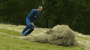 Euskara GIF by EiTB