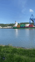 Horse and Guy Seen Swimming a Length in Cork Shipping Channel