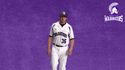Baseball Warriors GIF by WinonaStateATH