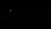 Baza GIF by BazaDanceStudio