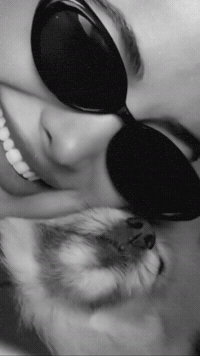 Puppy Smile GIF