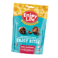Chocolate Snack Sticker by Enjoy Life Foods