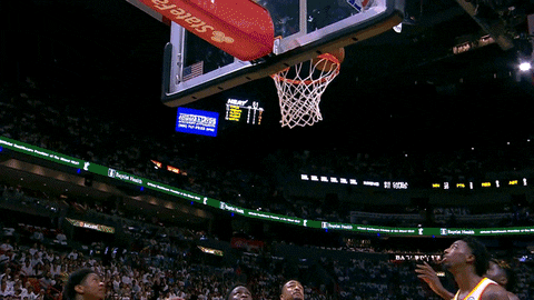 Yell And One GIF by Miami HEAT