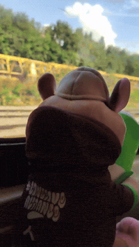 Travel Pondering GIF by Alliance