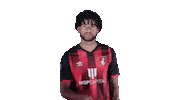 Football Silence Sticker by AFC Bournemouth