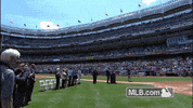 nyy GIF by MLB