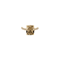 Gold Ring Sticker by The SISS BLISS