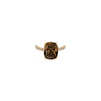 Gold Ring Sticker by The SISS BLISS