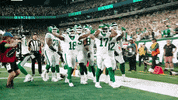 National Football League GIF by New York Jets
