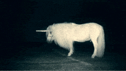 unicorn GIF