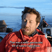 Behind The Scenes Wildlife GIF by BBC America
