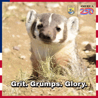 Birthday America GIF by U.S. Fish and Wildlife Service