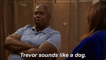 nbc GIF by Brooklyn Nine-Nine