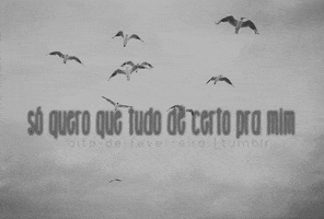 tudo GIF