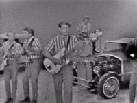 The Beach Boys GIF