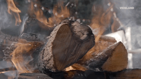 viceland GIF by Bong Appetit