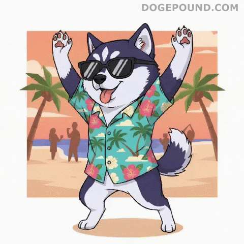 Happy Hands Up GIF by Doge Pound