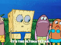season 6 GIF by SpongeBob SquarePants
