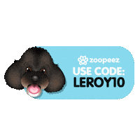 Leroy Cavoodle Sticker by zoopeez