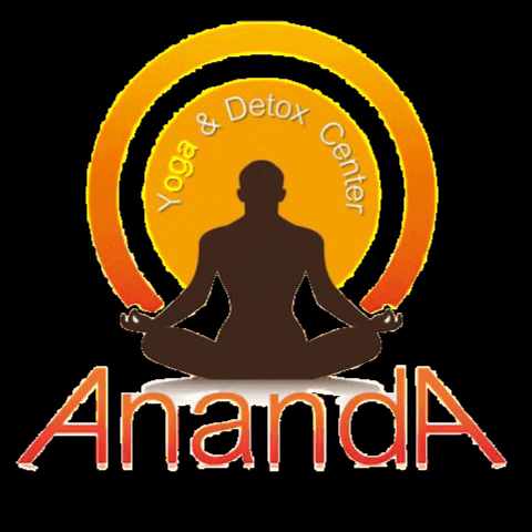 anandayogadetox giphygifmaker ananda GIF
