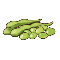 Edamame Sticker