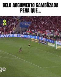 Gambá GIF