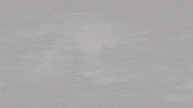 Mario Engels GIF by Sparta Rotterdam